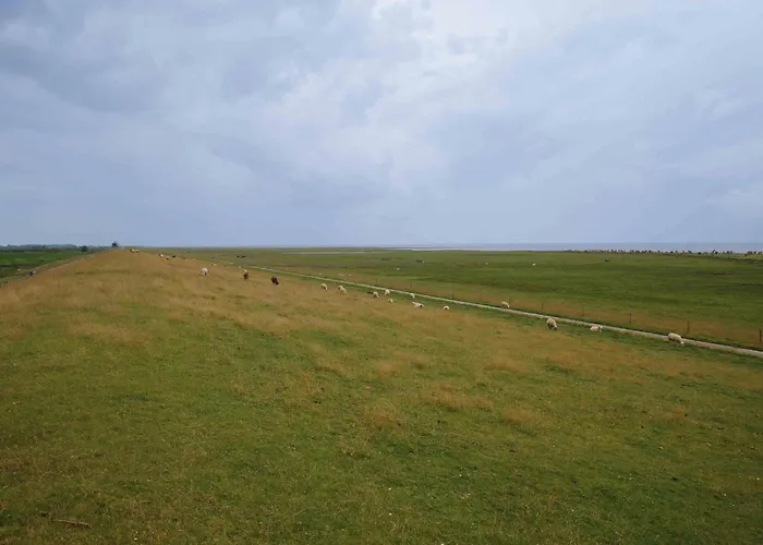 De Wisch - Frisch Renovierte Direkt Am Deich 多鲁姆纽菲尔德